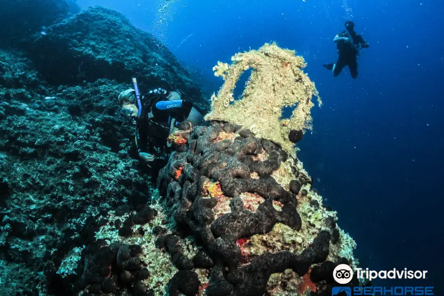 Seahorse Dive Center