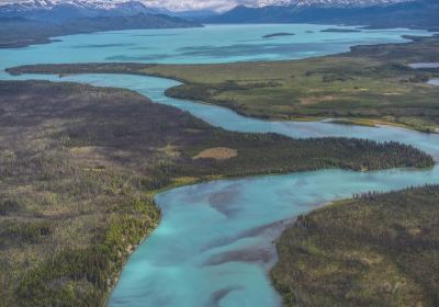 Kenai River