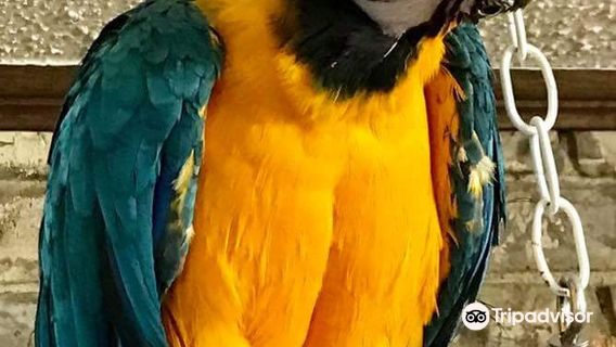 Зоопарк Хочатаун Рескью Сентер & Петтинг