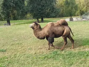 Zoo Osijek