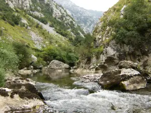 Desfiladero de La Hermida
