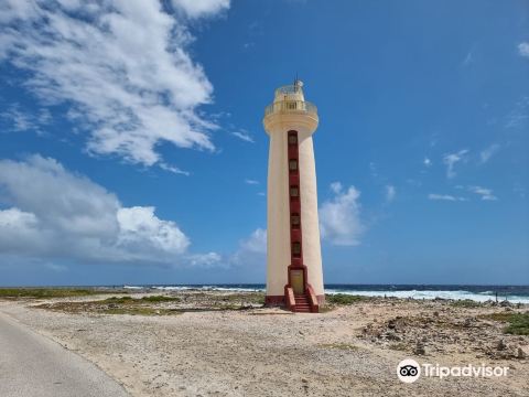 Bonaire Cruisers Golf Carts