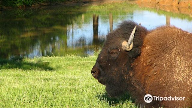 Национальная зона отдыха Ленд Бетуин Лейкс
