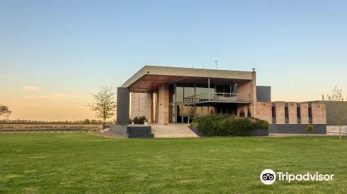 Bodega Otaviano