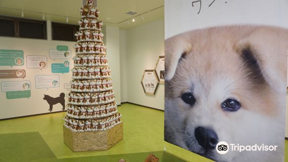 Akita Dog Visitor Center