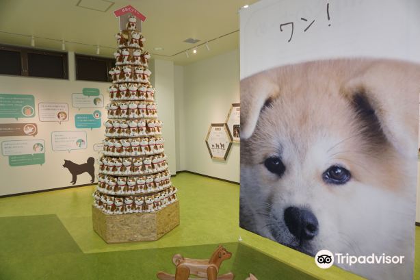 Akita Dog Visitor Center