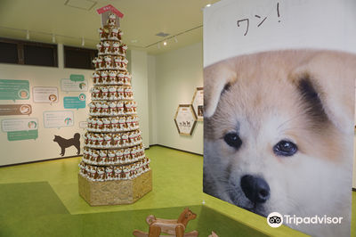 Akita Dog Visitor Center