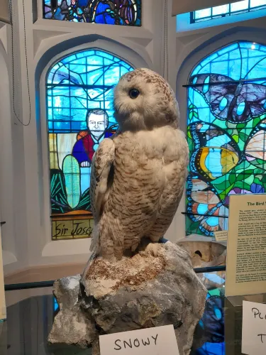 Eton College Natural History Museum
