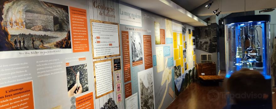Museo Dipartimentale delle Meraviglie