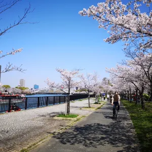大川