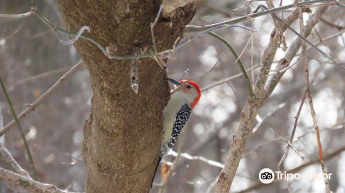 Ojibway Nature Centre