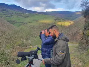 BOSQUE ACTIVO actividades de naturaleza