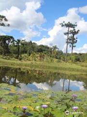 Jardim Botânico Faxinal do Céu