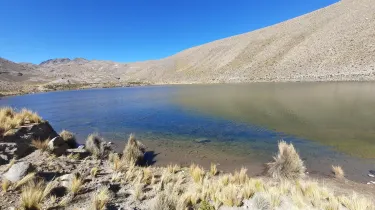 Koala Tours Potosí Bolivia