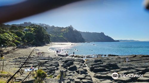 Te Hāwere-a-Maki / Goat Island