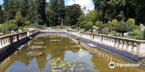 The Forgotten Gardens of Easton Lodge