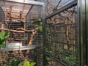 Papousci Zoo