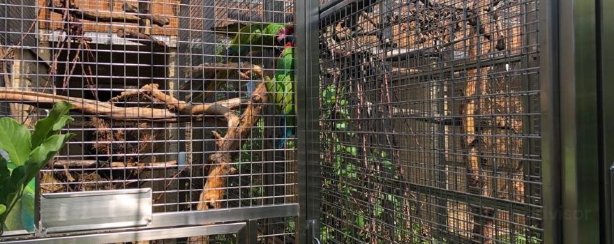 Papousci Zoo