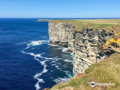 RSPB Scotland Marwick Head Nature Reserve