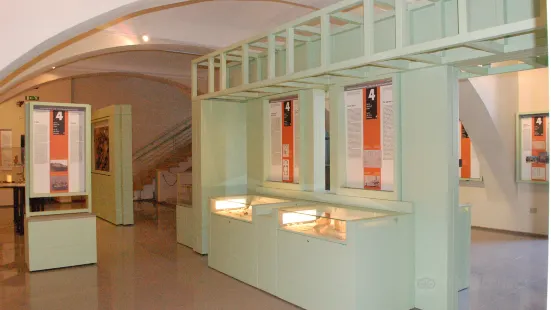 Museo Civico Archeologico e Pinacoteca Rosa