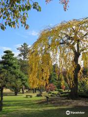 Fujita Memorial Garden