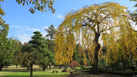 Fujita Memorial Garden