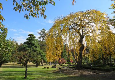 Fujita Memorial Garden