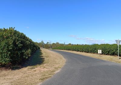 Jaques Coffee Plantation