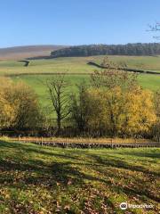 Macclesfield Forest