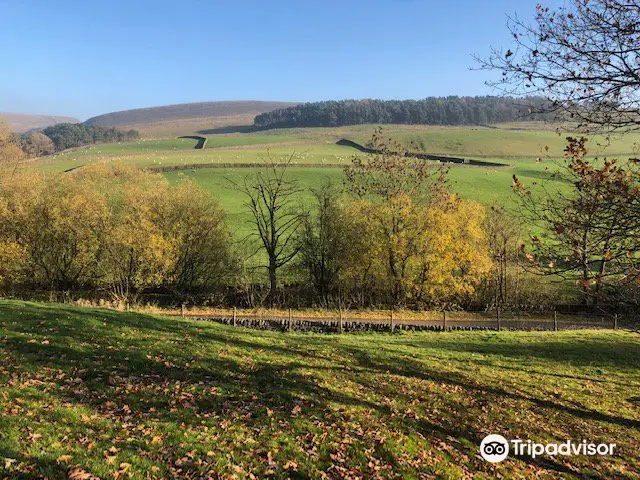 Macclesfield Forest