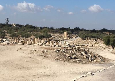 Archaeological Museum of Umm Qais