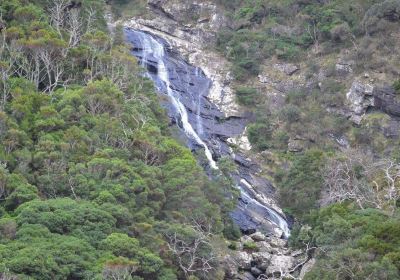 Carisbrook Waterfall