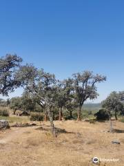 Parque De Los Alcornocales