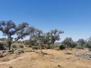 ロス・アルコルノカレス自然公園