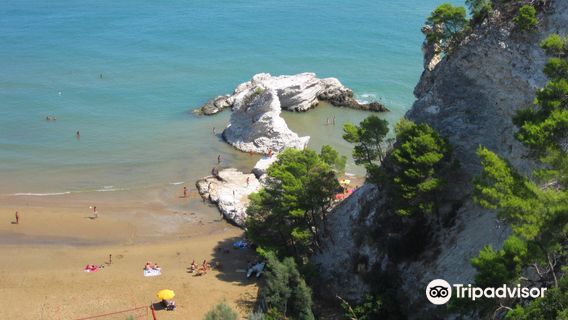 Spiaggia del Pizzomunno