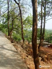 Parasnath Hills