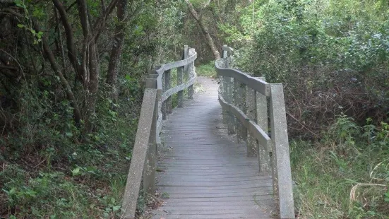 Nahoon Estuary Nature Reserve