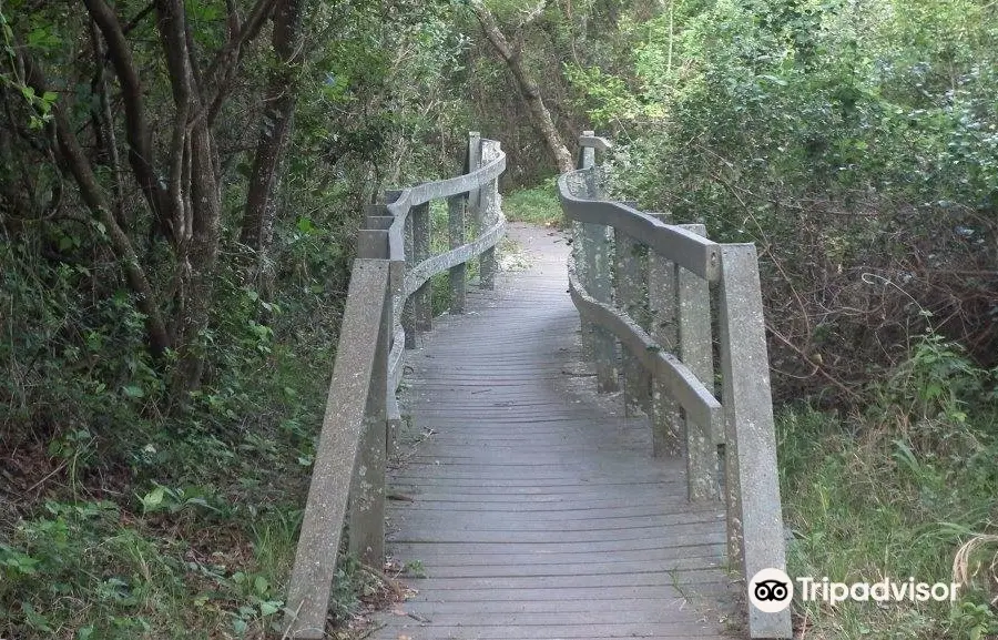 Nahoon Estuary Nature Reserve