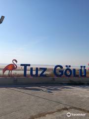 Tuz Golu