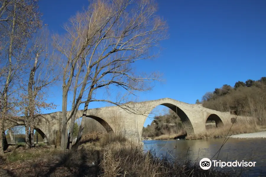 Puente Romanico de Capella