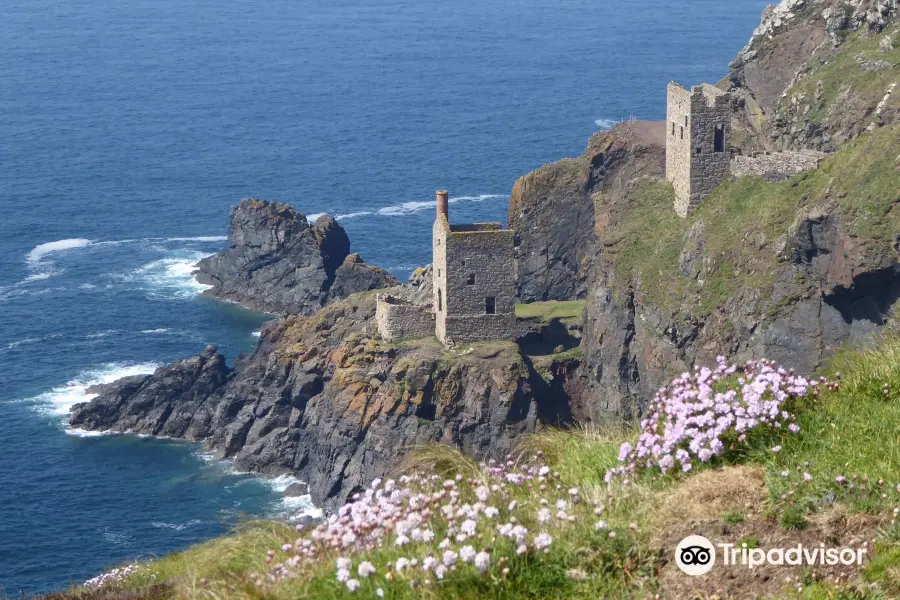 Levant, Botallack and the Crowns Trail