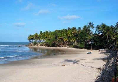 Praia da Taiba