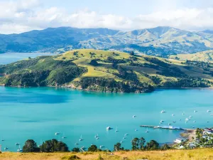 Akaroa Dolphins