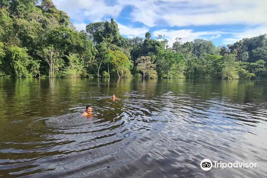 Yanayacu Pacaya Samiria Expeditions