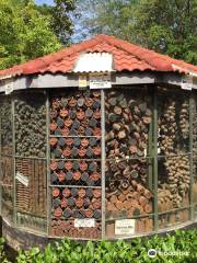 Cambodia Landmine Museum