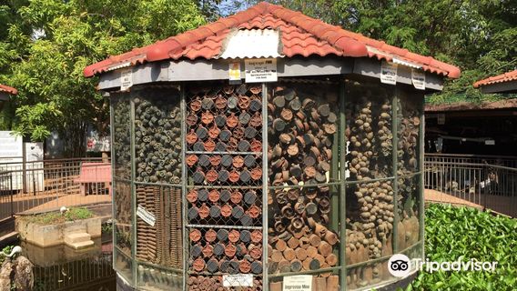 Cambodia Landmine Museum