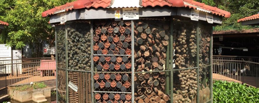 Cambodia Landmine Museum