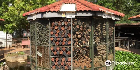 柬埔寨地雷博物館
