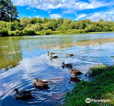 Crombie Country Park