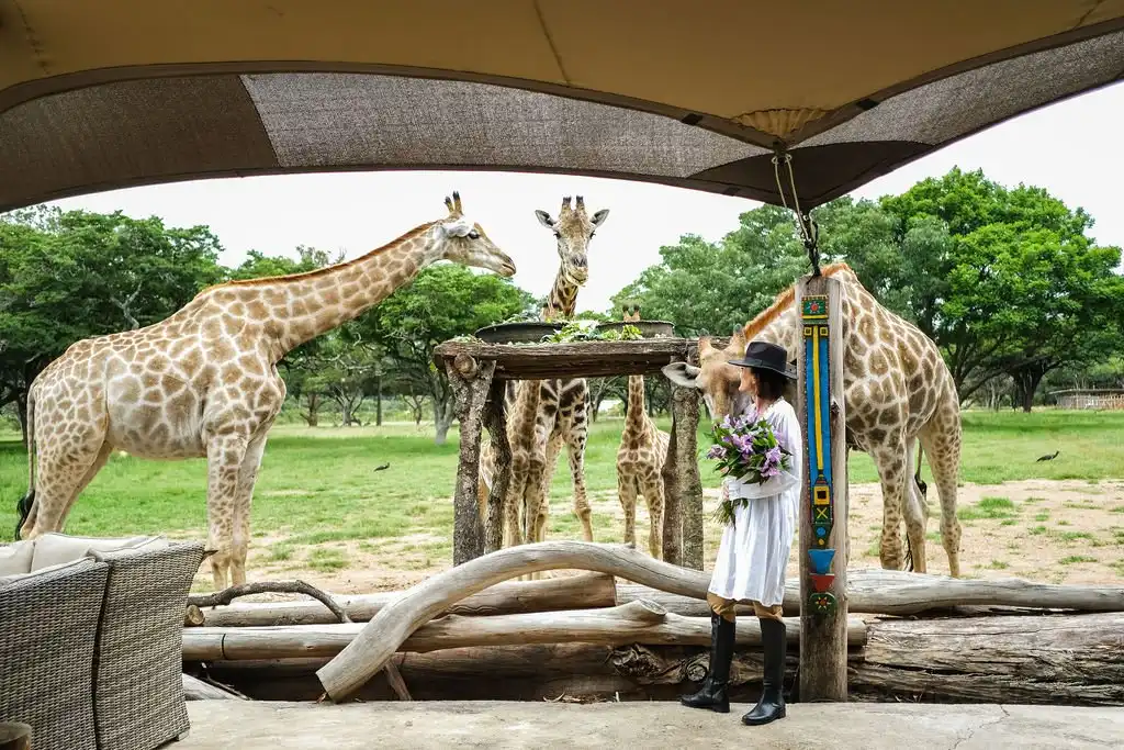 Hotel dekat Wild Is Life Trust and ZEN